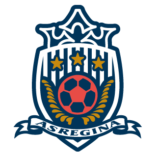 https://img.gindar.net/img/football/team/8b72fa7b42bbb2dac8f7d558f1dc106d.png